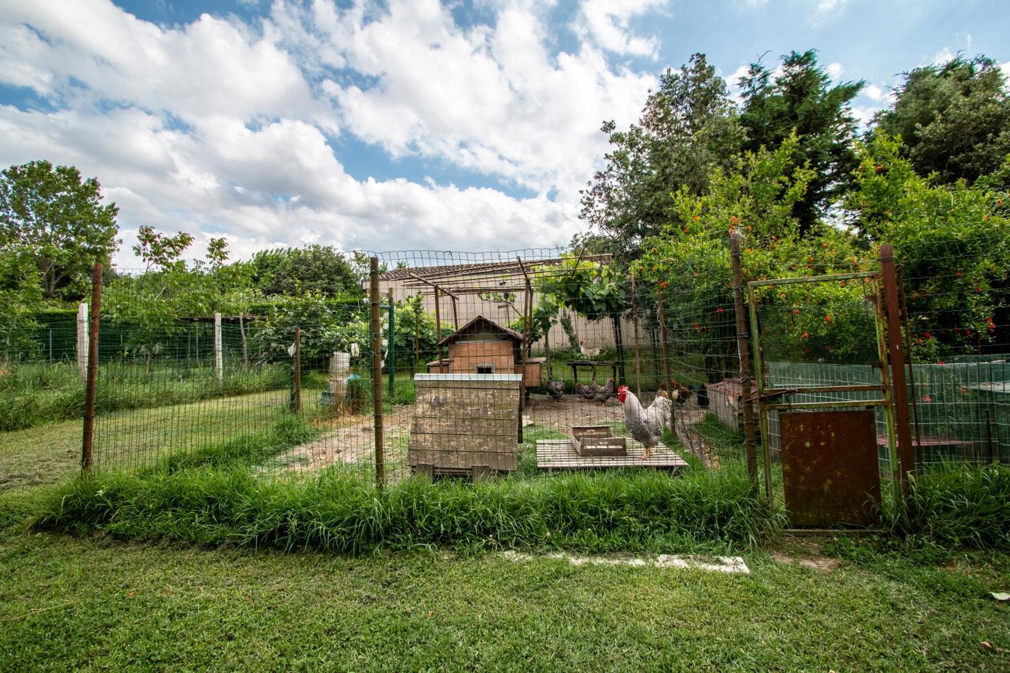 All'Ombra Del Bagolaro Taglio Di Po Exterior photo